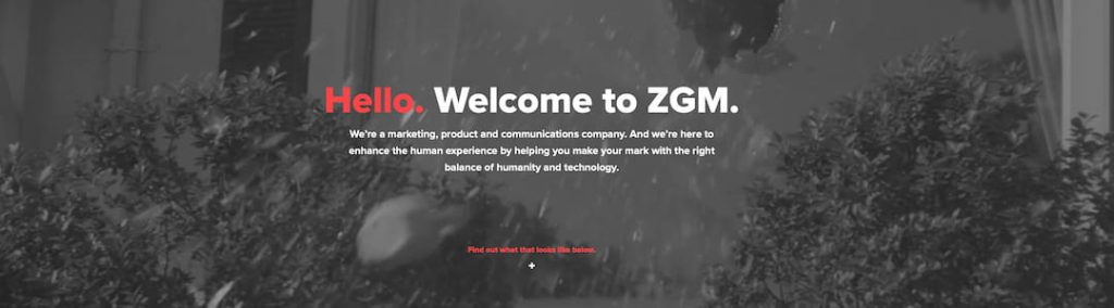 valeurs d'entreprise de ZGM