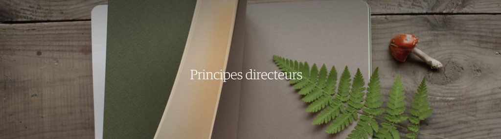 valeurs de etsy