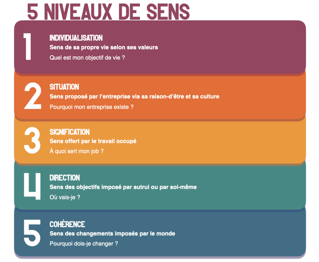 Les 5 niveau de sens dans l'entreprise