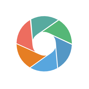roue de la fragilité ou canevas des fragilités