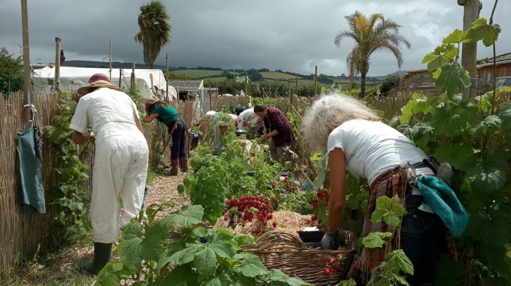 Des principes de la permaculture au management régénératif
