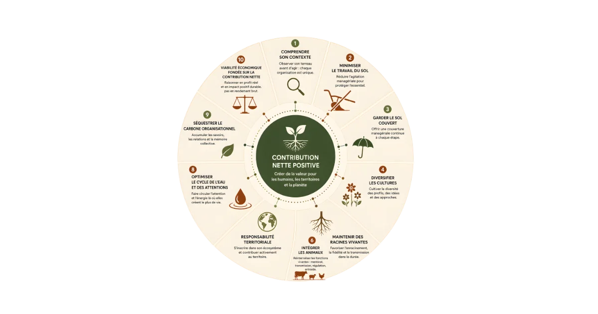 les 10 principes de l'agriculture régénérative appliquées au management