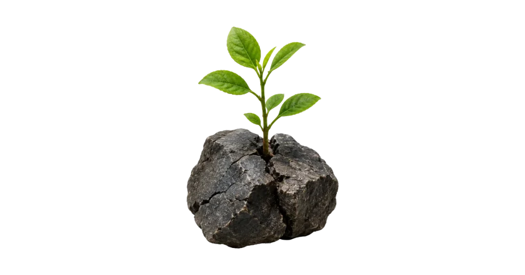 Management antifragile, fragile résilient antifragile face au choc