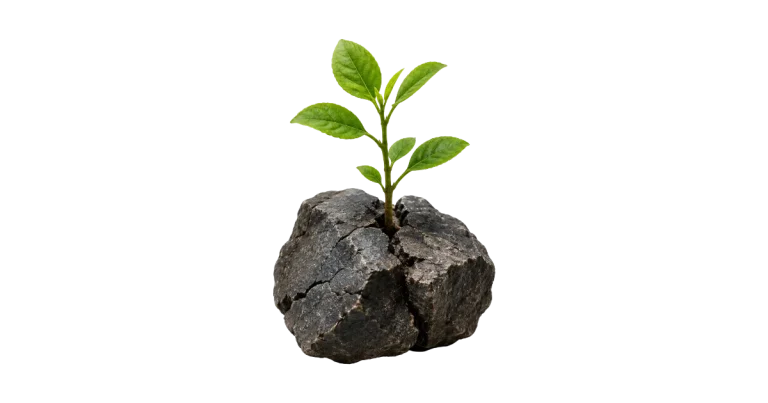 Management antifragile, fragile résilient antifragile face au choc