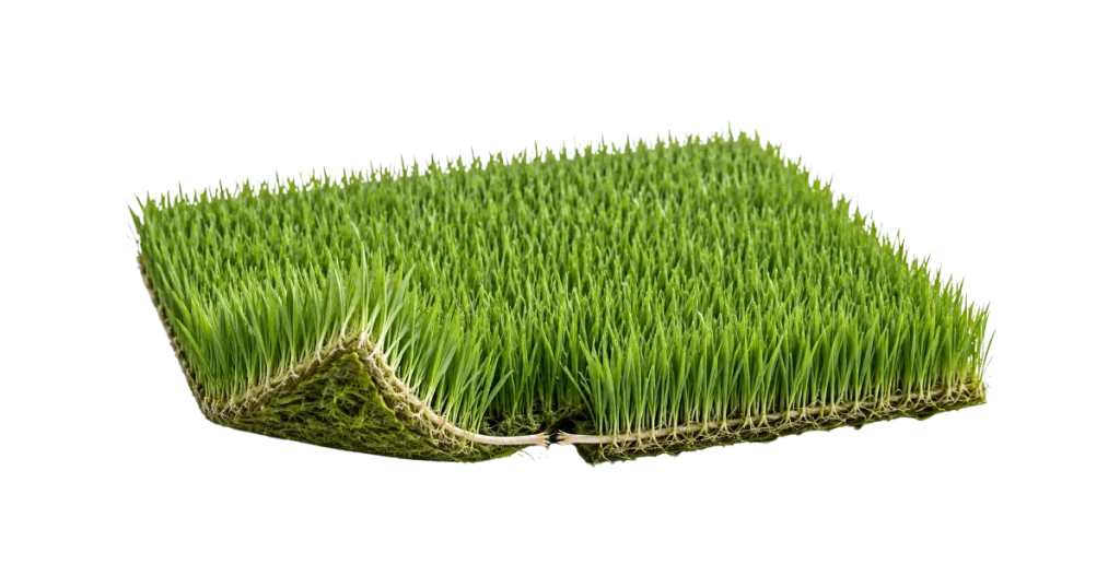 tapis de gazon qui représente la monoculture managériale