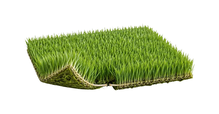 tapis de gazon qui représente la monoculture managériale